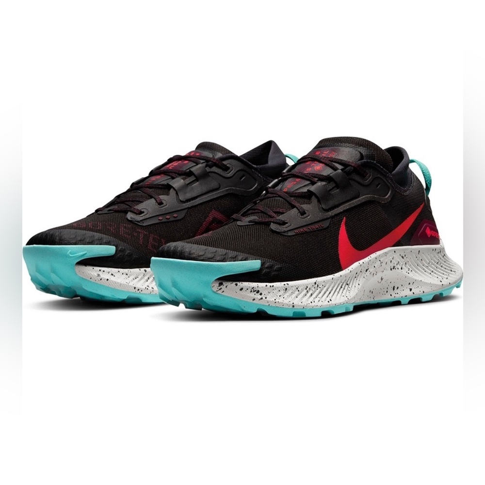 Nike Trail Pegasus Gore-Tex Shoes